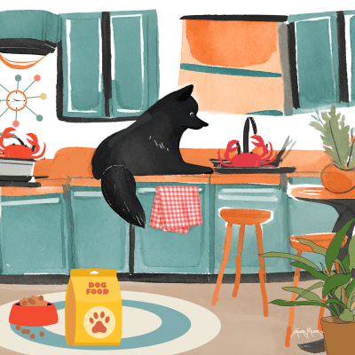 A Finnish Lapphund's Tale of Culinary Joy A Finnish Lapphund's Tale of Culinary Joy