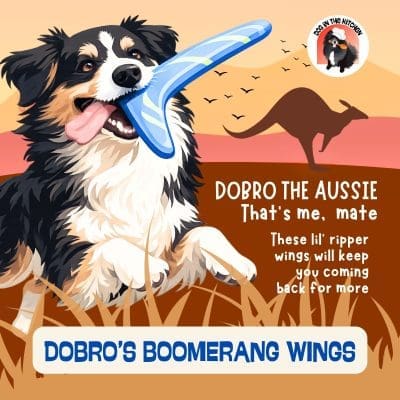 DOBRO'S BOOMERANG WINGS DOBRO'S BOOMERANG WINGS